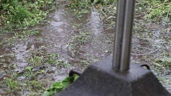 雨中的湿草雨水在地上形成水坑