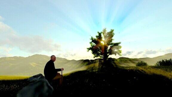 爷爷在绿色的草地上欣赏日出用摇盘