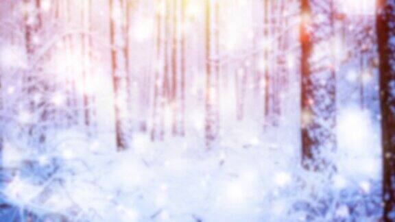 树松云杉在魔法森林冬天与飘落的雪阳光天