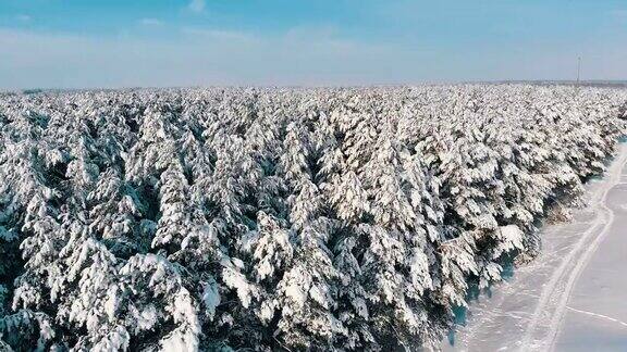 鸟瞰图上的冬季松林和雪道在一个晴朗的日子