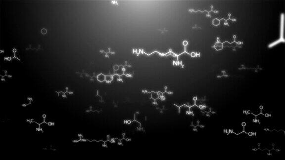 分子结构