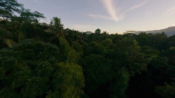 鸟瞰阳光明媚的热带亚洲森林村和体育场棕榈树山