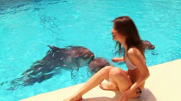 海豚和女孩