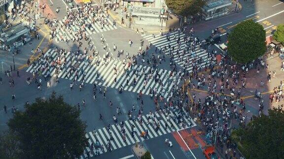 日本东京涩谷十字路口大量人流