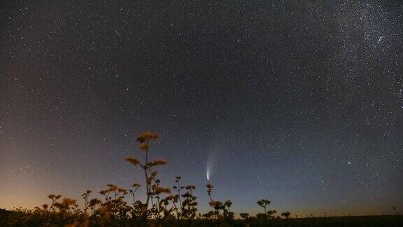 白俄罗斯2020年7月18日彗星NeowiseC2020F3在开花荞麦农田上方的星空7月的夜星1.04亿公里外的彗星FullHD间隔拍摄