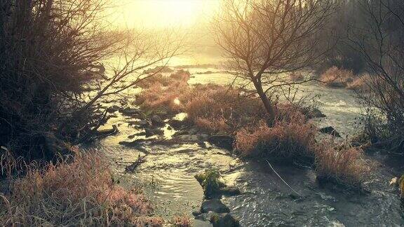 美丽的日出在一条狂野的河流上