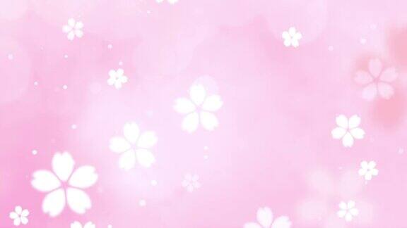 樱花跳舞粉红色的背景一个适合庆祝的背景视频如情人节和婚礼