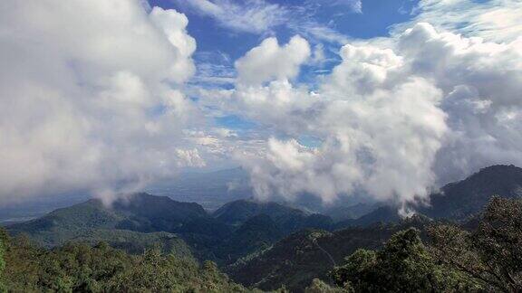 热带雨林的树木云的诞生