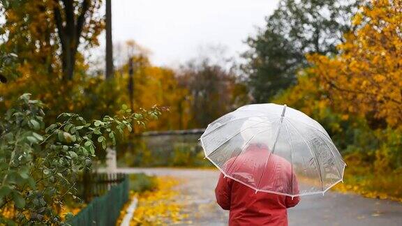 一个老妇人穿着红色夹克撑着一把透明的雨伞享受着雨天秋天的心情黄叶