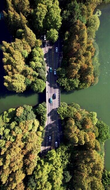 航拍的道路通过湖泊和树木地区