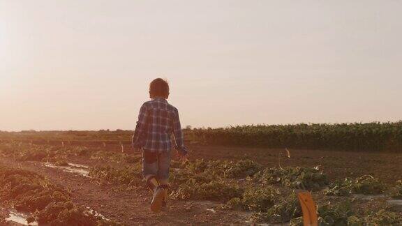一个穿着靴子的男孩在日落时分走在田野的中央
