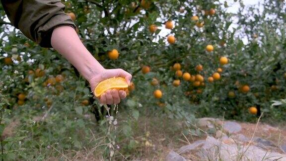 一个女人的手在果园里挤着橙汁