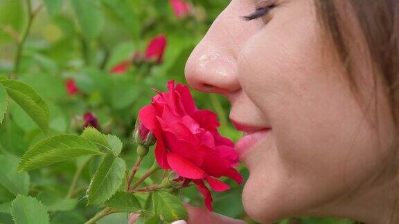 特写白人女人嗅红玫瑰和享受气味