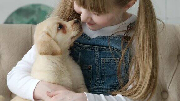 一个小女孩和一只拉布拉多小狗的肖像