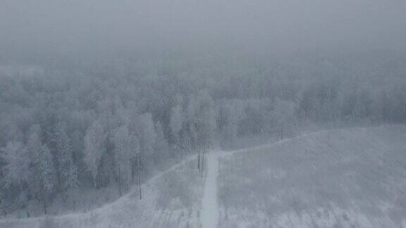 在雾中飞过雪原森林