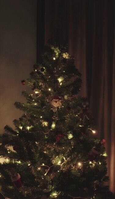 垂直镜头闪烁的圣诞树