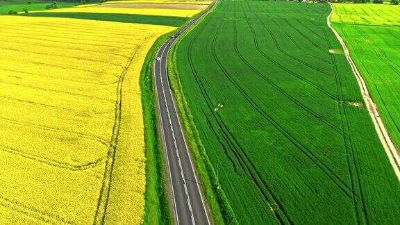 波兰农村的黄色油菜地鸟瞰大自然