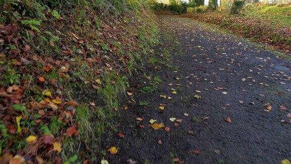 POV:漫步在秋天的乡村道路北爱尔兰