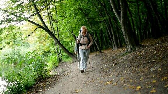 一对愉快的老游客在树林里散步