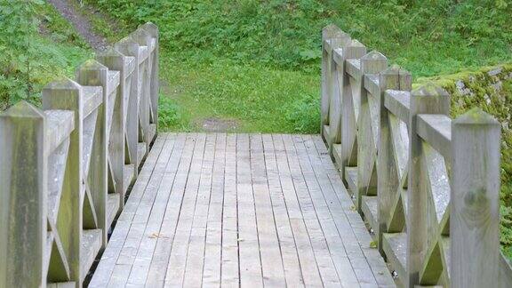 森林上横跨湖面的木桥