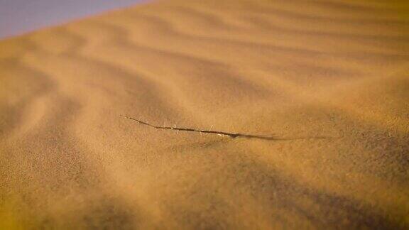 沙子吹过沙丘慢动作