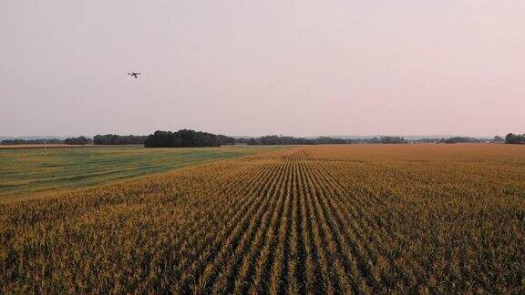 日落时分无人机在田野上起飞