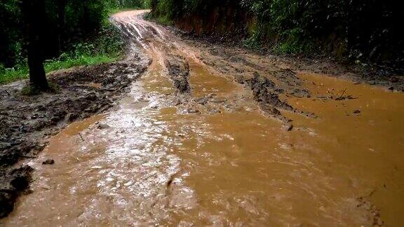 雨林中的4KWS泥泞路