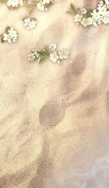 特写沙滩与蓝色海浪的海洋和鲜花夏天的背景