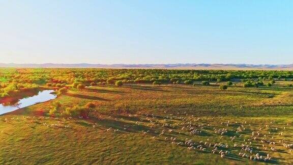航拍下的内蒙古呼伦贝尔草原