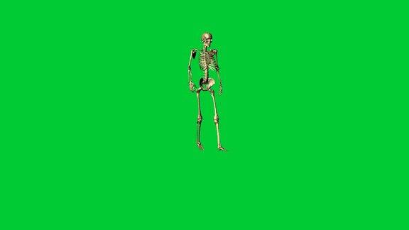 骨骼行走的3d动画-在绿色屏幕上分离