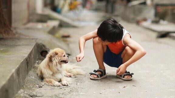 男孩和狗