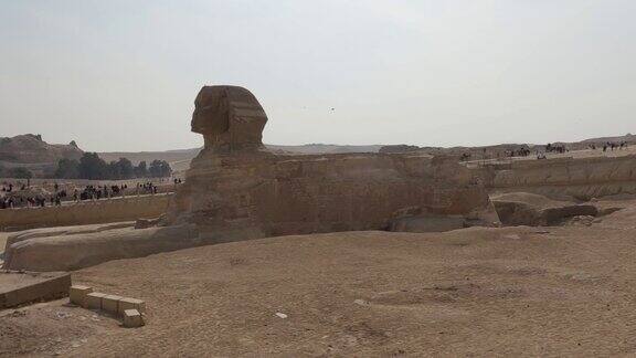 古狮身人面像的侧视图埃及著名的旅游景点
