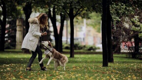 秋天的一天女人在公园里和哈士奇狗玩耍慢镜头