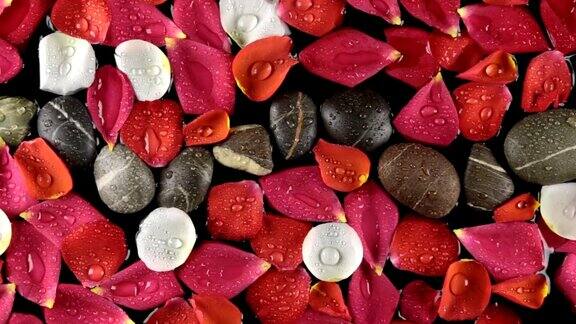 美丽的玫瑰花瓣和带露珠的石头随风而逝