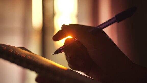 一个女人在日落时写日记