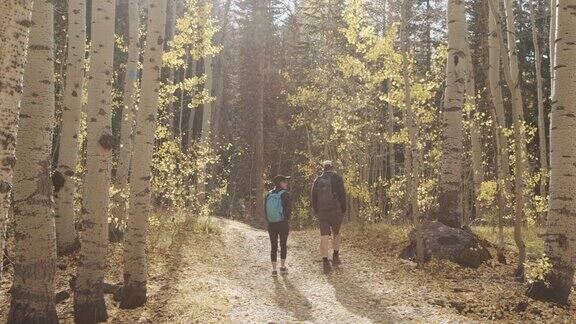 手持式的男性和女性一起在户外徒步旅行在科罗拉多附近的大梅萨国家森林在美丽的9月秋天的颜色