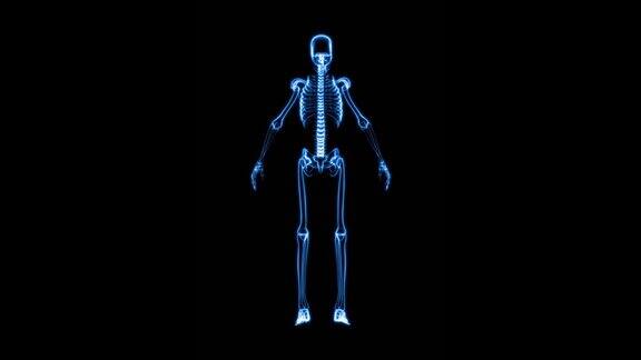 人体骨骼x光片(高清)