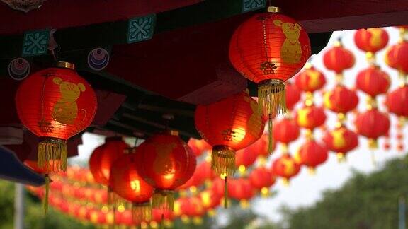 中国新年期间的灯笼