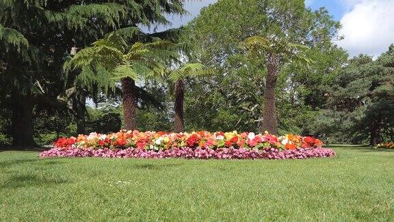 公园里五颜六色的花坛