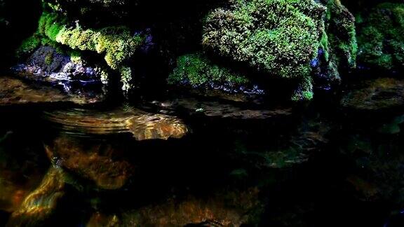 瀑布飞溅的慢镜头近景泉水下落时滴落在覆盖着绿色苔藓的岩石上