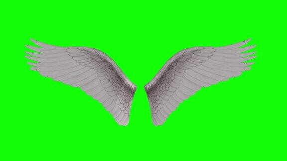 天使翅膀的动画循环