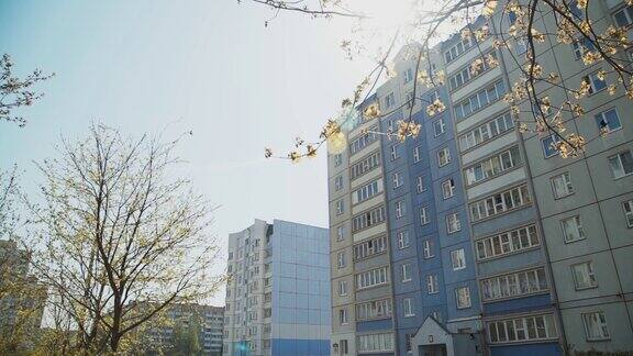 春天苏联城有公寓紫色的楼房嫩叶盛开