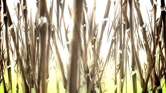 动画竹林在一个水彩风格