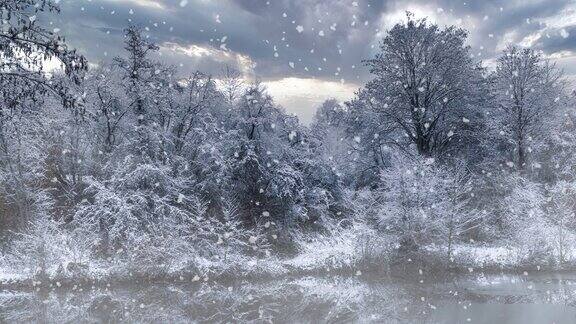 被雪覆盖的树木矗立在雪和雾的河边