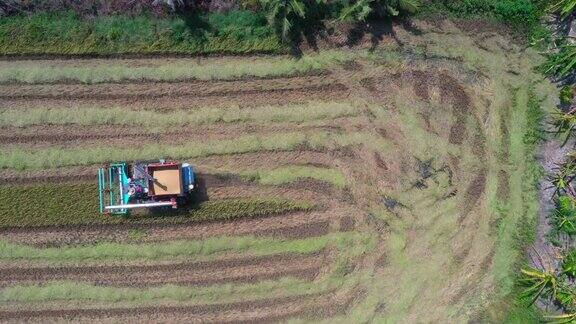 收割机正在收割稻田