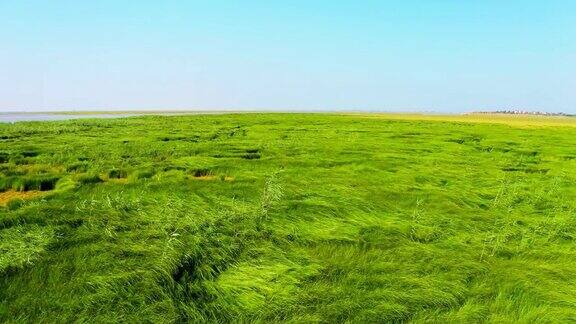 鄱阳湖湿地草原航拍