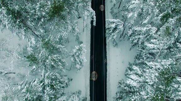 无人驾驶飞机拍摄的冬日木材画面中的独行者