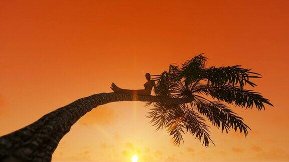 年轻美丽的女子坐在棕榈树上面对美丽的日出