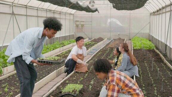 可爱的孩子学习园艺、生态、有机食品和农业