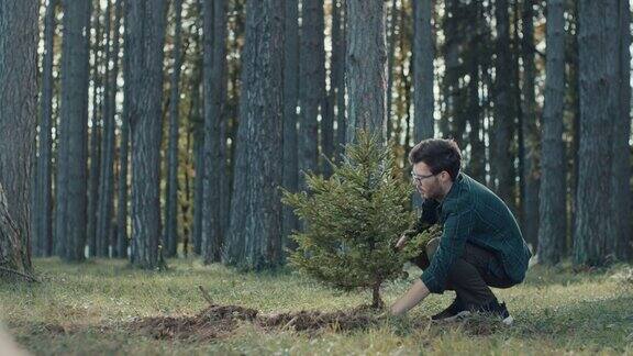 男人种植树木栽培植物慢镜头